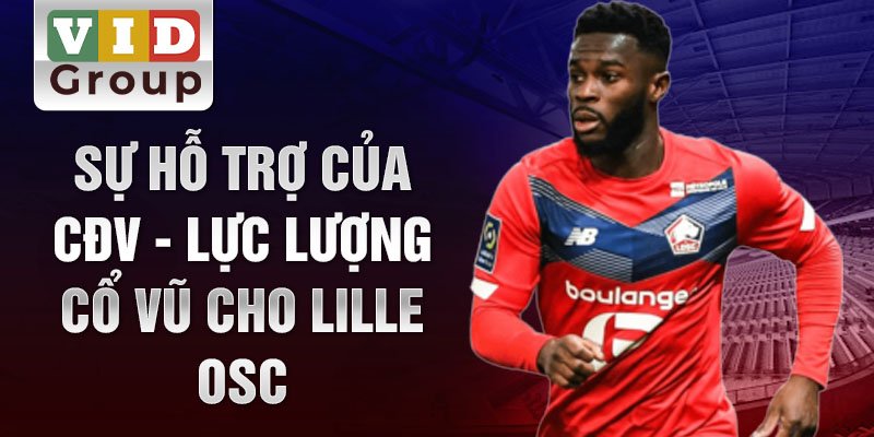 Sự hỗ trợ của cđv - lực lượng cổ vũ cho Lille Osc