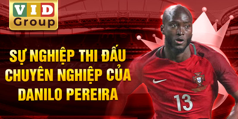 Sự nghiệp thi đấu chuyên nghiệp của danilo pereira